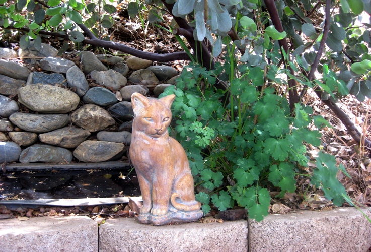 Serene stone cat and Columbine