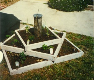 herb garden before