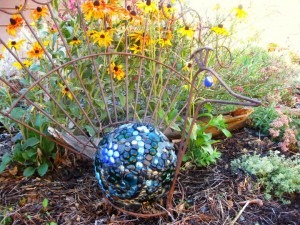 peacock after