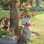 Blondeponders Garden and Duck tales Blondeponders Garden and Duck tales