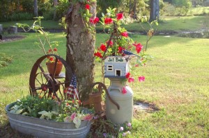 Blondeponders Garden and Duck tales