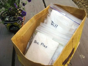 My seed file