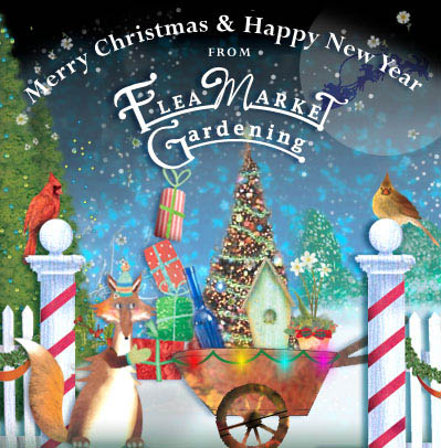 FoxyChristmasFMG_3