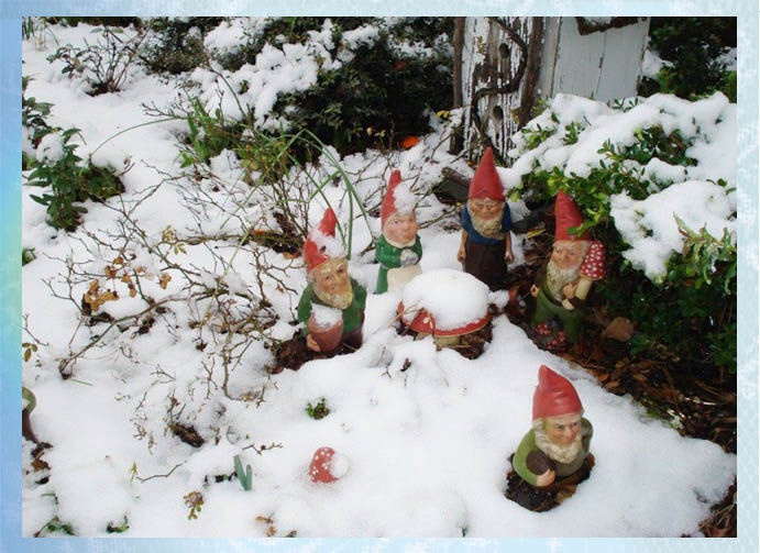 Gnomes