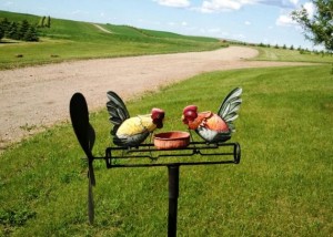 My new whirlygig . The chickens peck at the dish when the windmill turns