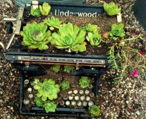My typewriter planter