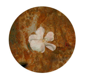 RustyCircleFlower