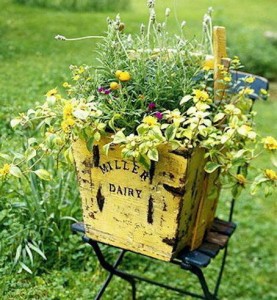 A sunny yellow dairy crate holds like colored flowers