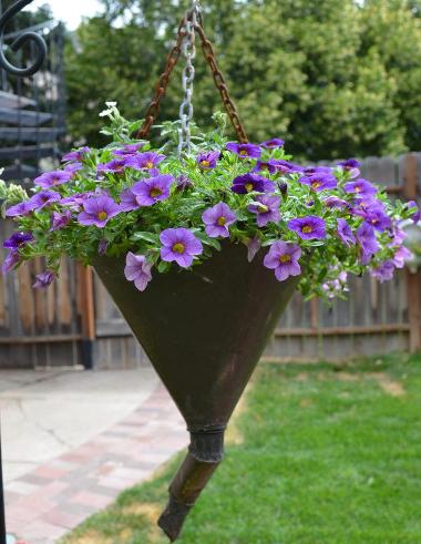 Marie Niemann's funnel full of flowers