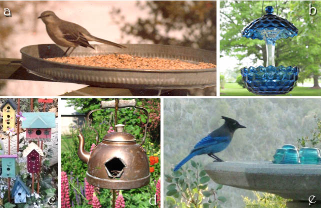 BirdFeeders