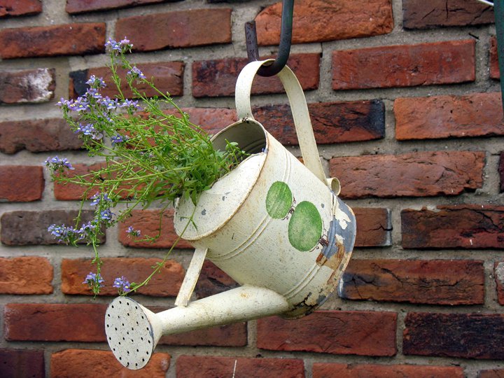 Jenny Boyer Alexander (2) Flowers spill charmingly out of Jenny Alexander's pale yellow watering can