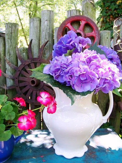 Julie Brown Julie Brown's hydranga in a French white pitcher