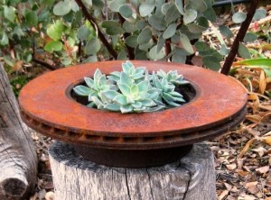 Rusty old Brake rotor makes an unusual 'container'