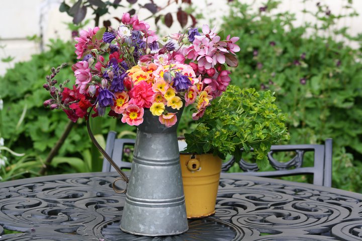 Theresa Doss-French pitcher Theresa Doss's French pitcher on a terrace table