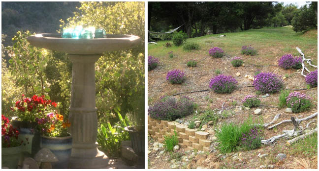 FleaMarketGardenVignettes5 Magical birdbath and lavender garden