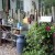 Julie's junkola - featured