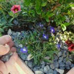 Get the dirt containers