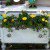 Jake's buffet garden.