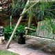 Jeanne's secret garden.