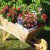 Nell's wheelbarrow-featured