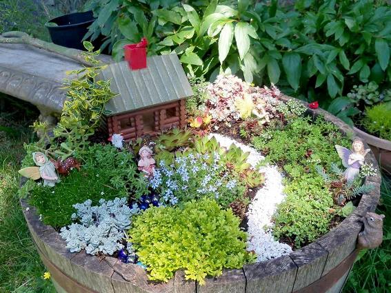 Kate larsen made her fairy garden in a barrel
