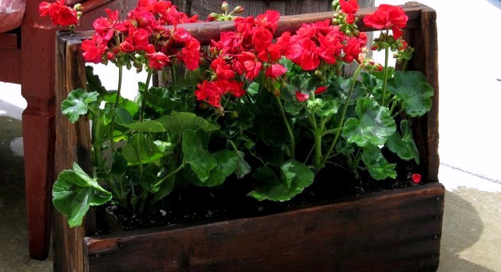 Fun garden projects from used wood | Flea Market Gardening