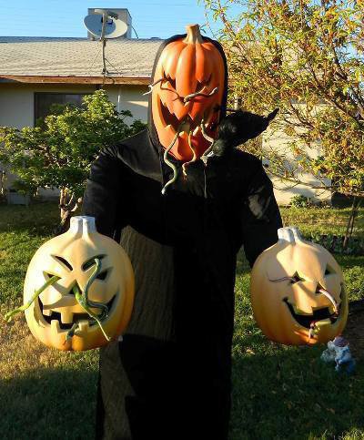 Brian Stephan's spooky, snaky pumpkins