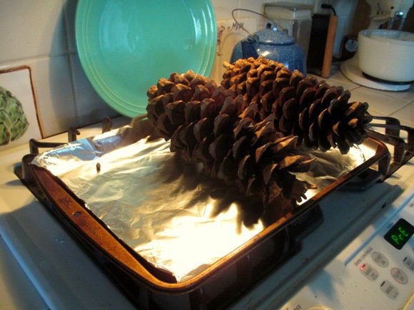 On a foil covered cookie sheet arrange the cones