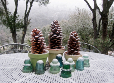 Pine cone pots in winter