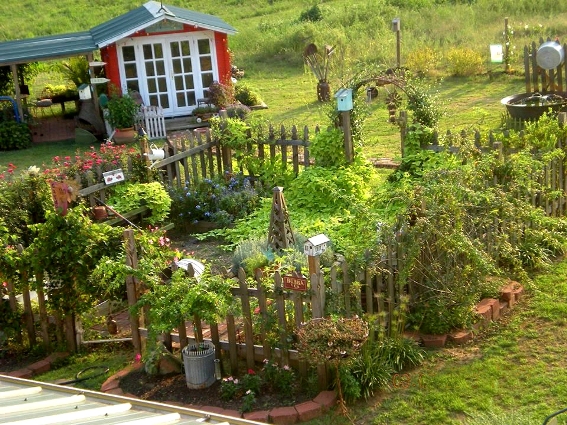 Fantastic overview of Billie's fenced garden