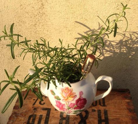Rosemary teapot, with wine cork marker