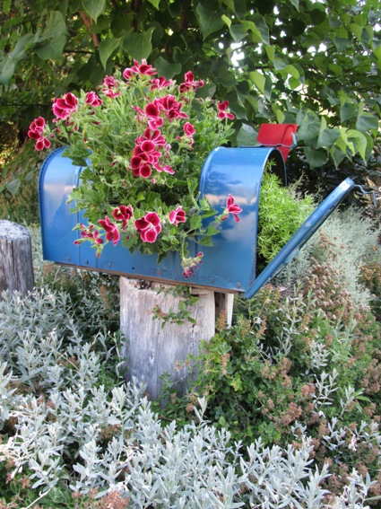 My finished mailbox planter