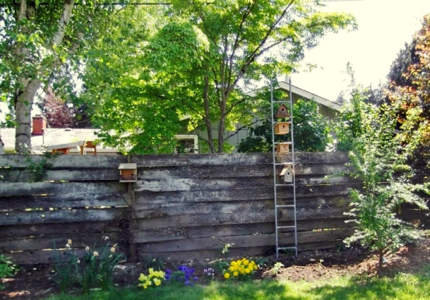 Make Barb Pawlik's birdhouse ladder